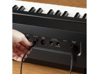 Alesis Prestige Artist Alesis Prestige Artist